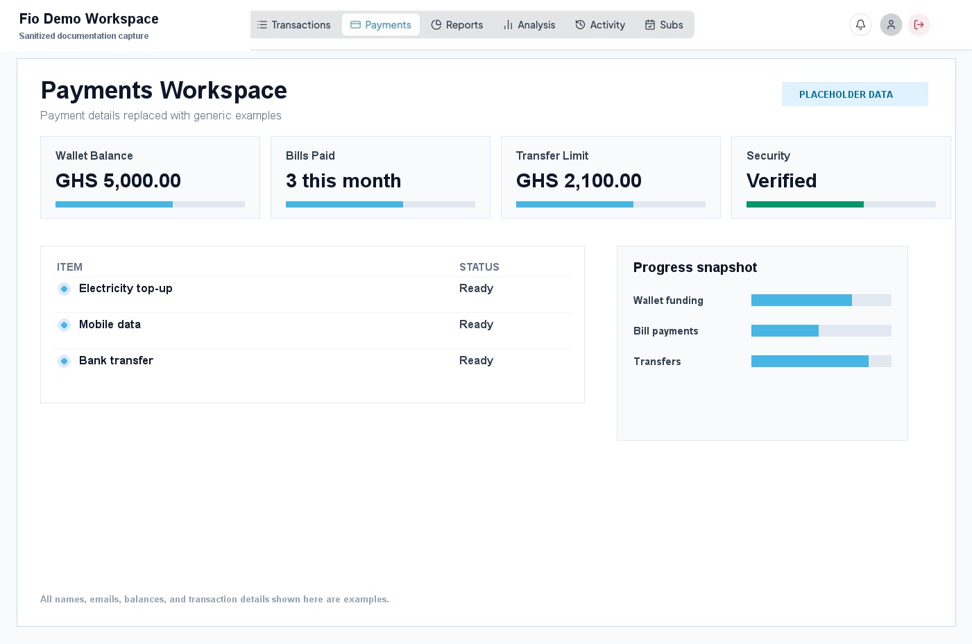 Payments workspace with sanitized wallet and payment examples